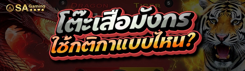 โต๊ะเสือมังกร ใช้กติกาแบบไหน?
