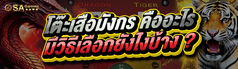 โต๊ะเสือมังกร คืออะไร มีวิธีเลือกยังไงบ้าง ?